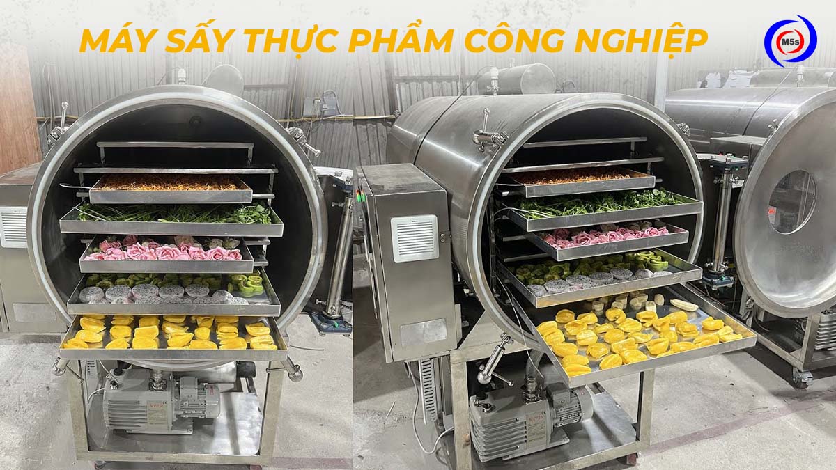 Thành phẩm máy sấy thực phẩm công nghiệp
