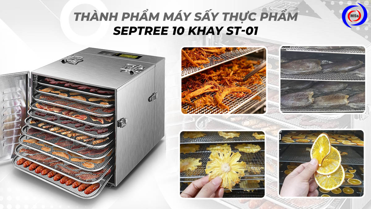 Thành phẩm máy sấy thực phẩm Septree 10 khay ST-01