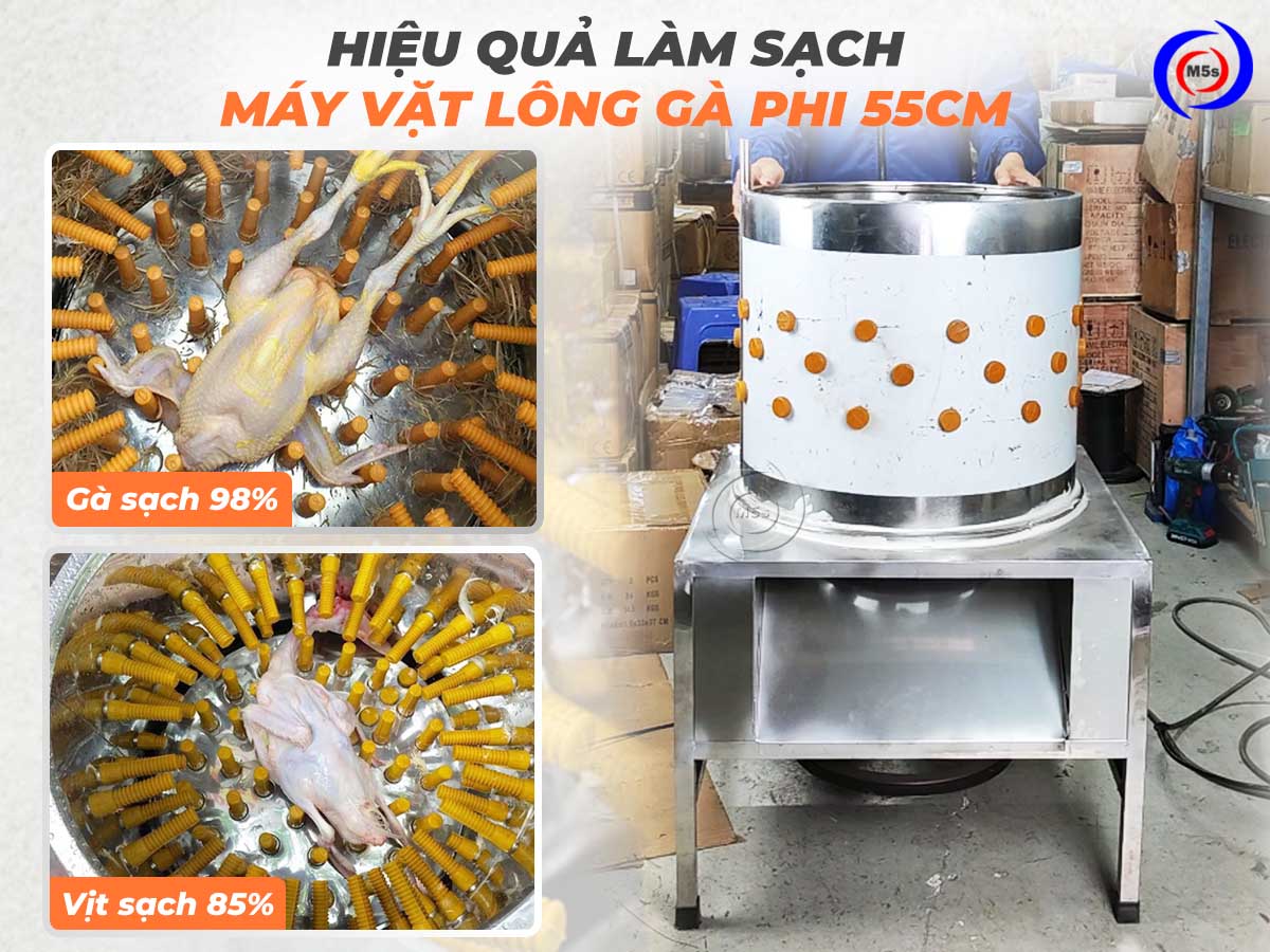 Thành phẩm gà vịt sau khi vặt lông bằng máy vặt lông gà phi 55cm