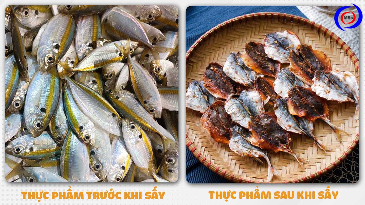 Thực phẩm trước và sau sấy