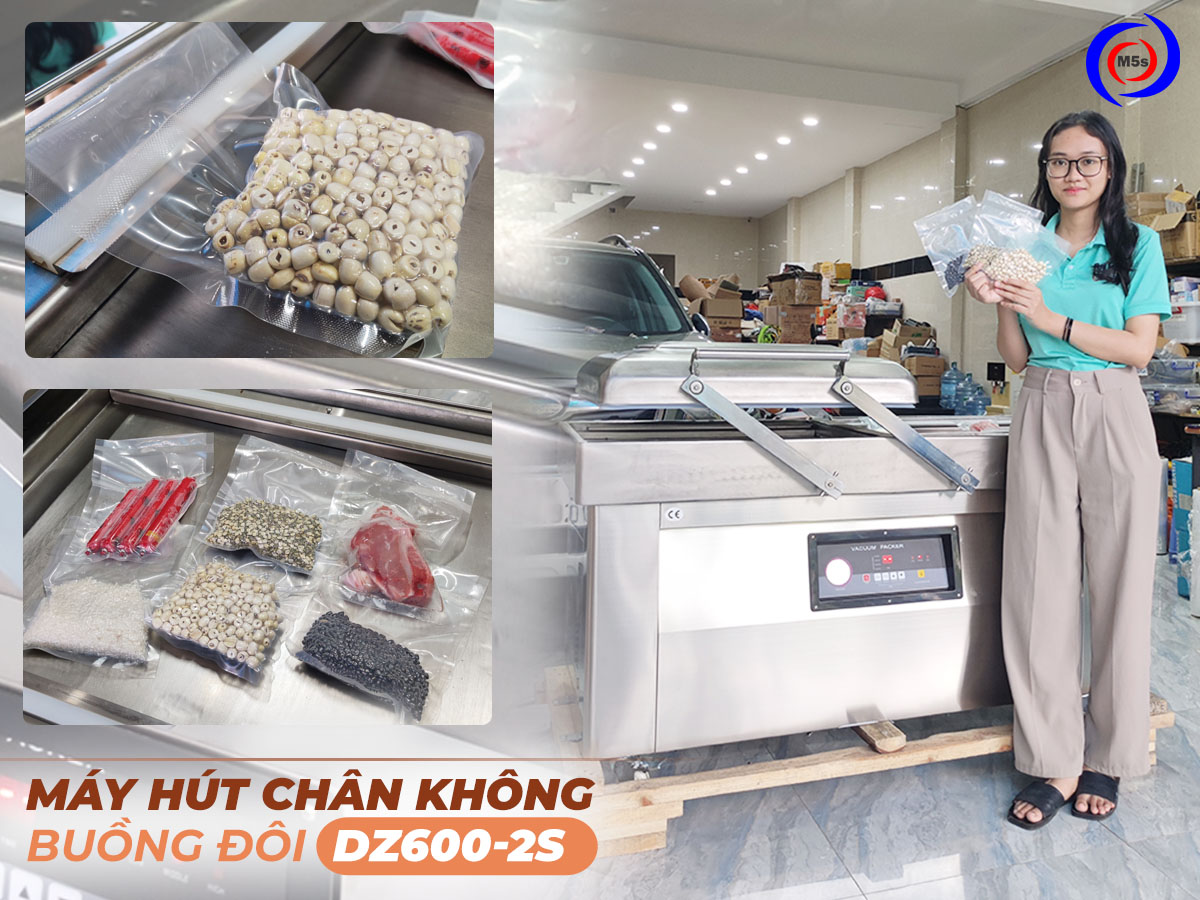Máy hút chân không buồng đôi DZ-6002S