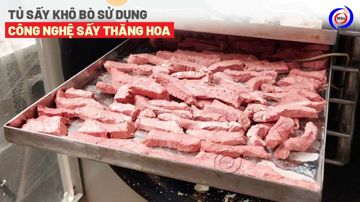 Tủ sấy khô bò sử dụng công nghệ sấy thăng hoa