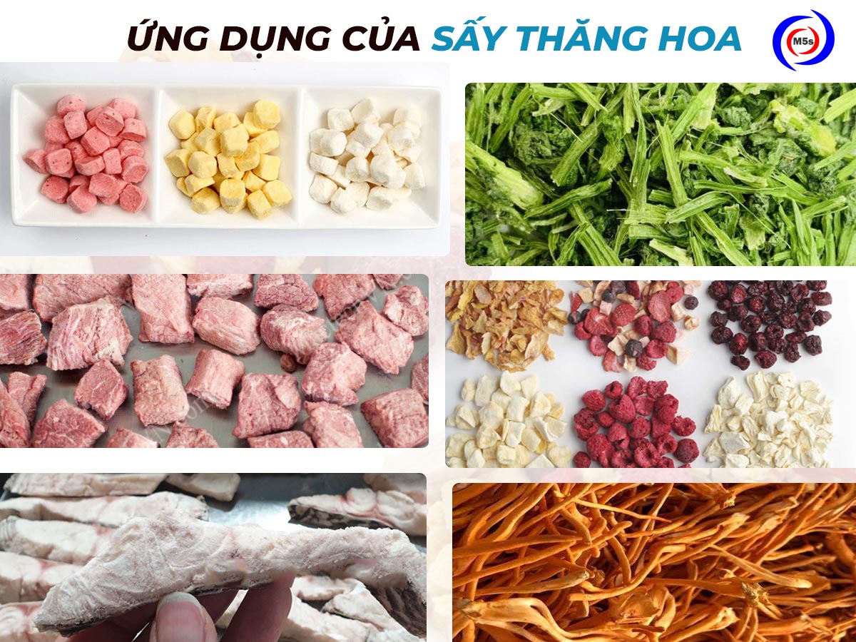 Ứng dụng của sấy thăng hoa
